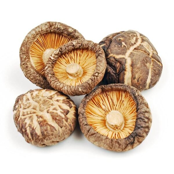 shitake